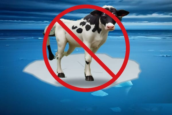 Swedish cow standing on an ice floe in the ocean with a red no-cross over it